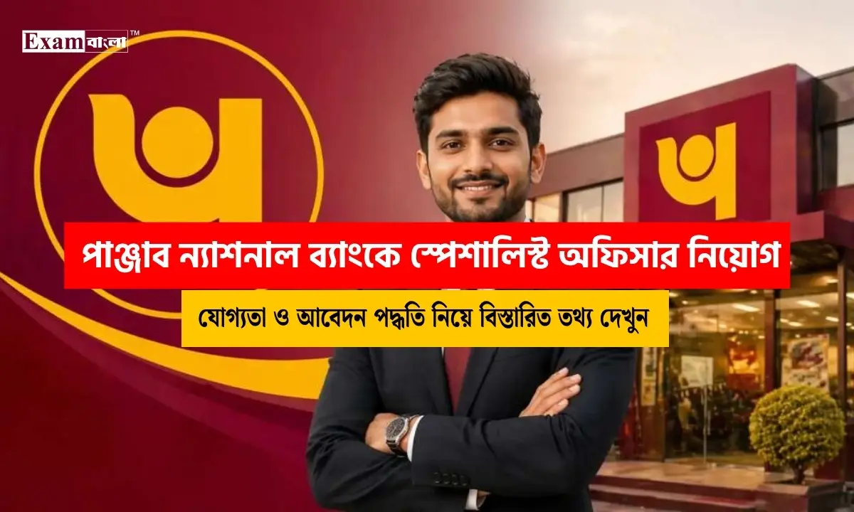 পাঞ্জাব ন্যাশনাল ব্যাংকে স্পেশালিস্ট অফিসার নিয়োগ, কি যোগ্যতা লাগবে?