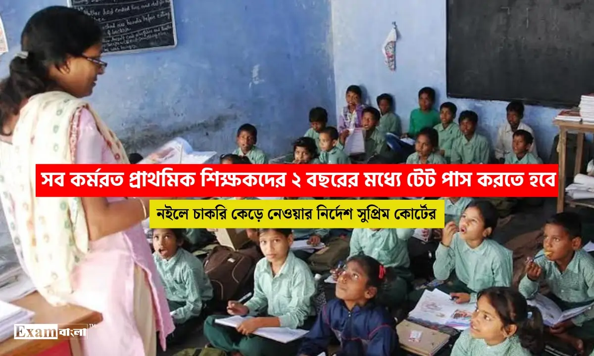 কর্মরত প্রাথমিক শিক্ষকদের ২ বছরের মধ্যে টেট পাস বাধ্যতামূলক! নইলে থাকবে না চাকরি, নির্দেশ সুপ্রিম কোর্টের